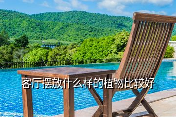 客廳擺放什么樣的植物比較好