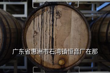 廣東省惠洲市石灣鎮(zhèn)恒音廠在那