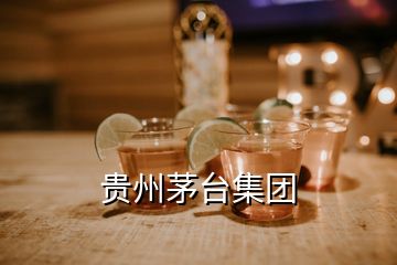 貴州茅臺集團