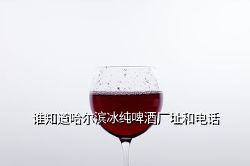 誰知道哈爾濱冰純啤酒廠址和電話