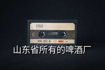 山東省所有的啤酒廠