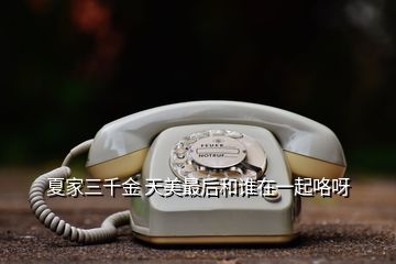 夏家三千金 天美最后和誰(shuí)在一起咯呀