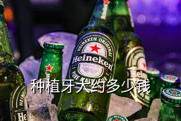 種植牙大約多少錢(qián)