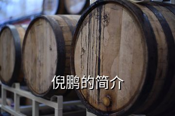 倪鵬的簡介