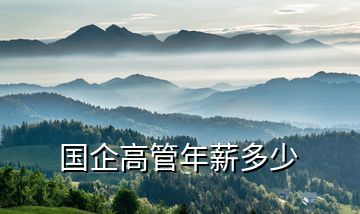 國企高管年薪多少