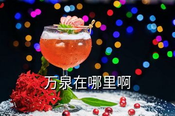 萬泉在哪里啊