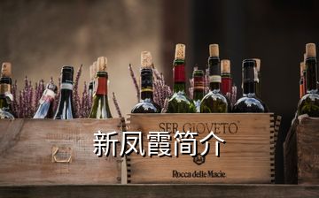 新鳳霞簡(jiǎn)介