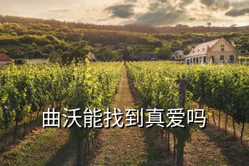 曲沃能找到真愛(ài)嗎