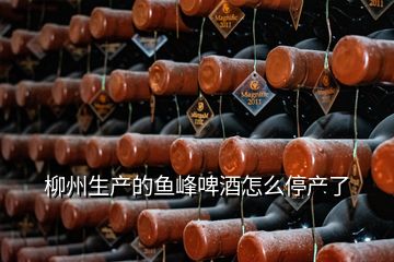 柳州生產的魚峰啤酒怎么停產了