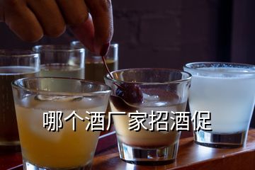哪個(gè)酒廠家招酒促