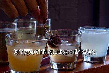 河北武強東北助劑如此排污 誰在縱容2