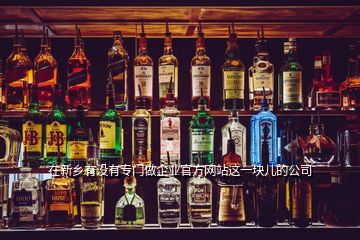 在新鄉(xiāng)有沒(méi)有專門做企業(yè)官方網(wǎng)站這一塊兒的公司
