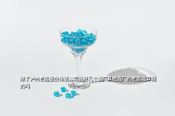 除了瀘州老窖股份有限公司酒好幾個酒廠其他酒廠的老窖酒算假的嗎