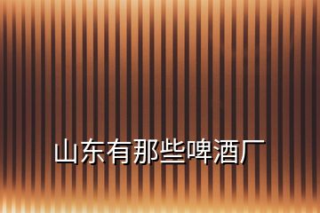 山東有那些啤酒廠(chǎng)