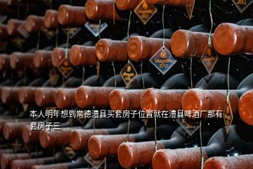 本人明年想到常德澧縣買(mǎi)套房子位置就在澧縣啤酒廠那有套房子三