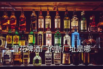 雪花啤酒廠的新廠址是哪