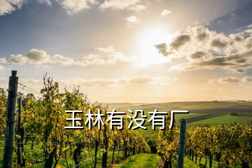 玉林有沒有廠