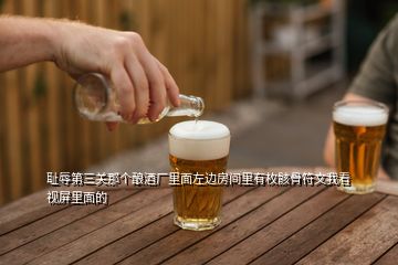 恥辱第三關那個釀酒廠里面左邊房間里有枚骸骨符文我看視屏里面的