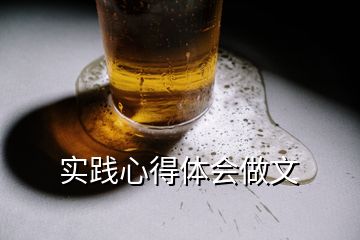 實踐心得體會做文