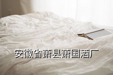 安徽省蕭縣蕭國酒廠