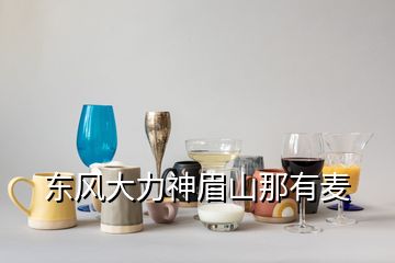 東風大力神眉山那有麥