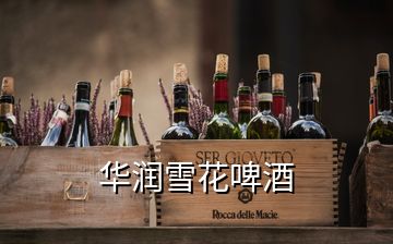  華潤雪花啤酒