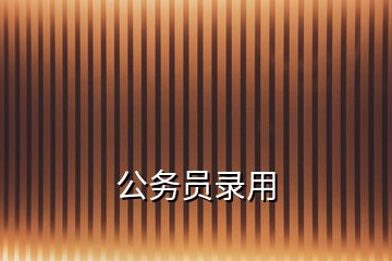 公務(wù)員錄用