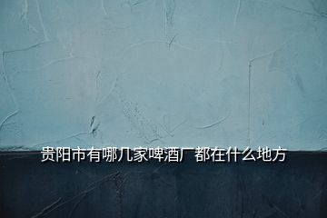 貴陽市有哪幾家啤酒廠都在什么地方