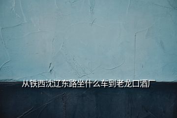 從鐵西沈遼東路坐什么車(chē)到老龍口酒廠