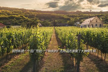 我想新建一個(gè)酒廠想起一個(gè)響亮的廠名和酒名謝謝了大神幫忙啊
