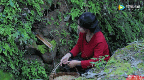 被央視點贊，“李子柒”的故事，酒業(yè)可以復制嗎？