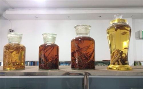 祛寒養(yǎng)生一般用什么藥酒好？這幾種藥酒值得信賴