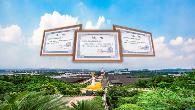 愛爾蘭第十一屆歐洲論壇，五糧液以1638.12億元的品牌價值位列榜單第三位