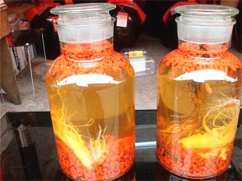 人參、靈芝泡酒配方大全！藥酒功效大全