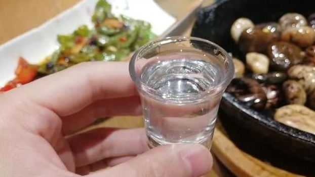 酒桌上酒司令和知客是指什么？
