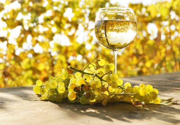 白葡萄酒可以去除紅酒漬嗎？白葡萄酒去除紅酒漬的方法