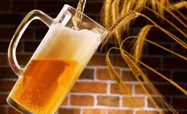 啤酒洗頭能不能天天洗？不能