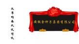 始于1949，金種子匠心演繹鎏金歲月