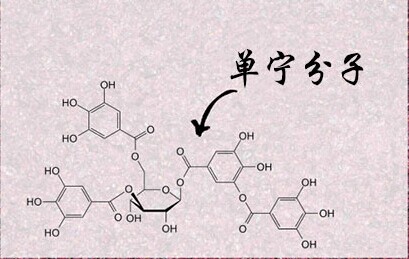 紅酒單寧是什么意思？不同紅酒中的單寧含量是多少？