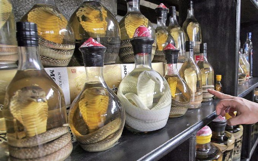 毒蛇泡酒多久才能喝？毒蛇泡酒多久才會(huì)死？