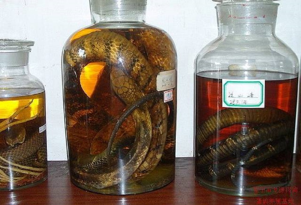 藥酒用什么酒泡好，泡藥酒必看