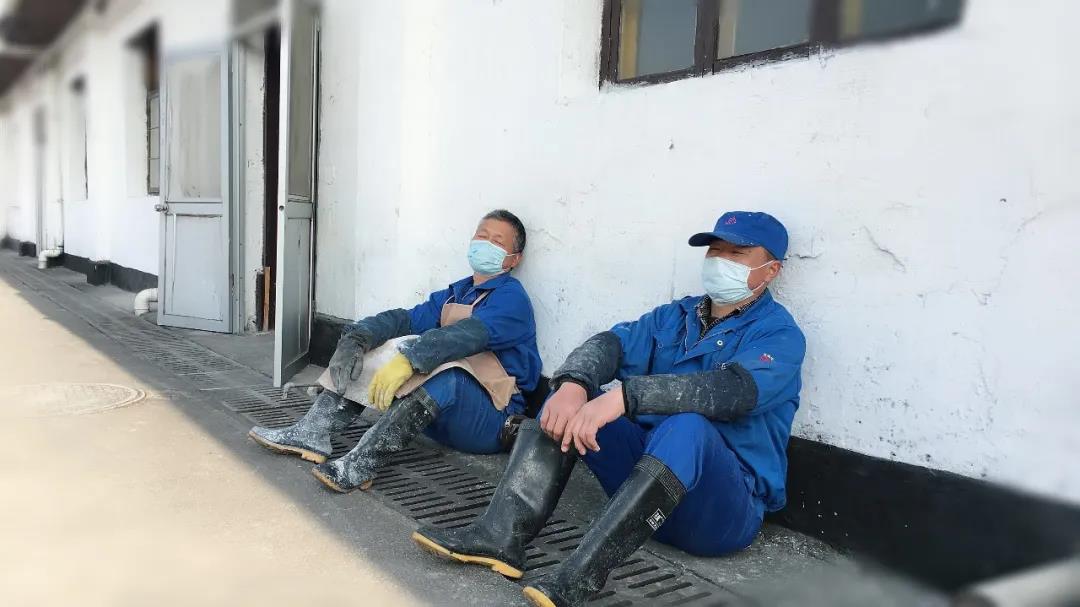 黃酒集團釀酒師每天在車間里走2萬多步，急得午休時間都想?。? width=