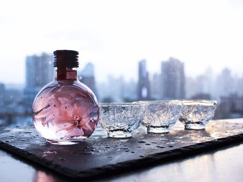 如何制作櫻花酒？櫻花酒有什么功效？