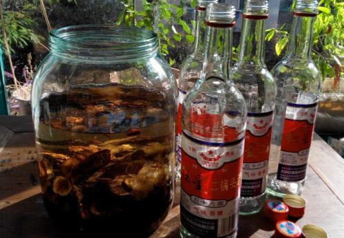 為什么要用高度酒泡藥酒？低度酒可以泡藥酒嗎？