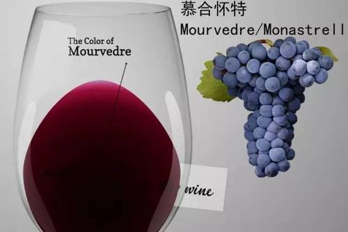 慕合懷特葡萄酒怎么樣？慕合懷特葡萄酒酒精度比較高。