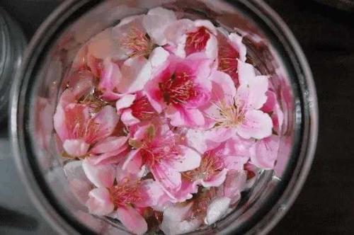 干桃花可以泡酒嗎？干桃花泡酒有什么好處
