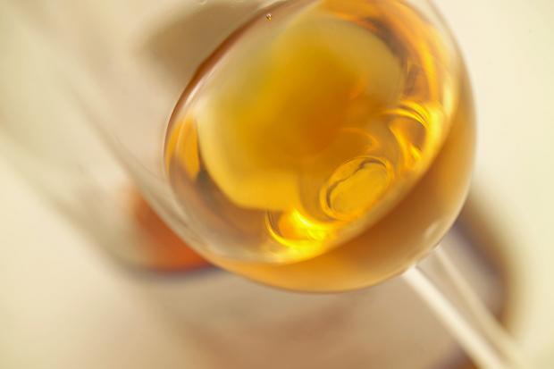 貴腐酒是用什么葡萄釀制的？釀制貴腐酒采用的葡萄品種