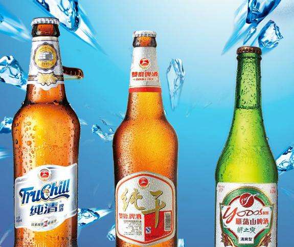 溫州雙鹿干啤酒多少錢