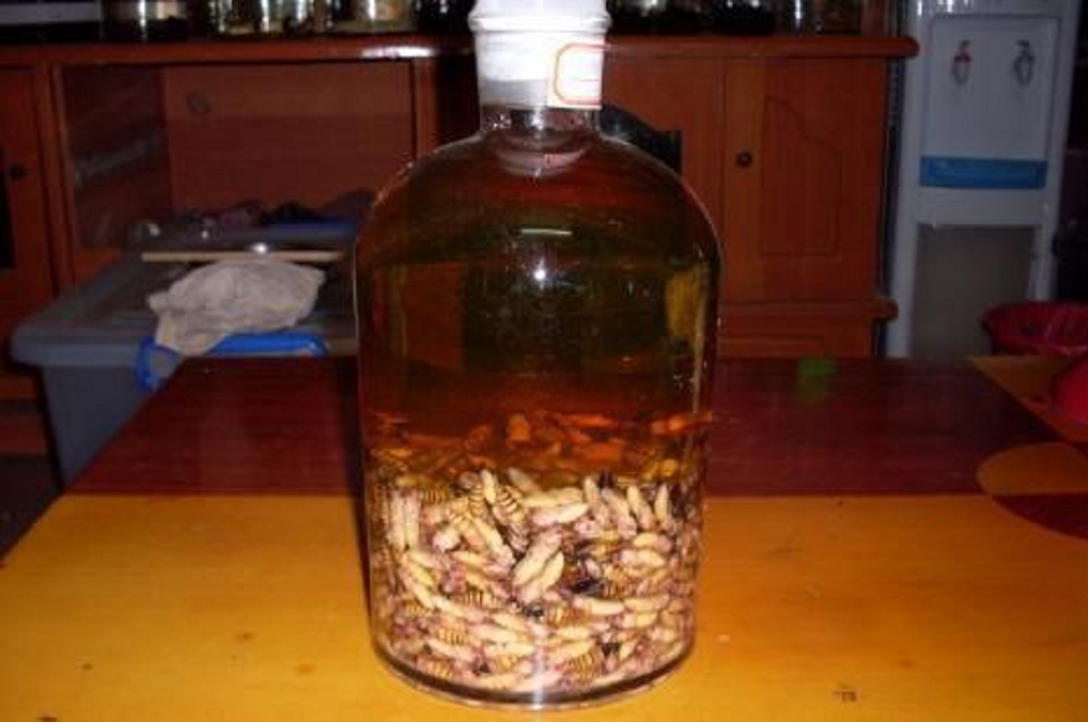 蜂蛹泡酒的方法，功效有哪些