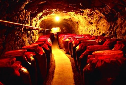 如何自建酒窖？自建酒窖造價一般是多少？